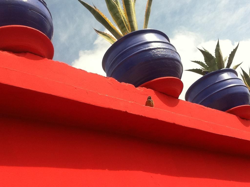 Riad Kalinka Lotus Marrakesh Bagian luar foto